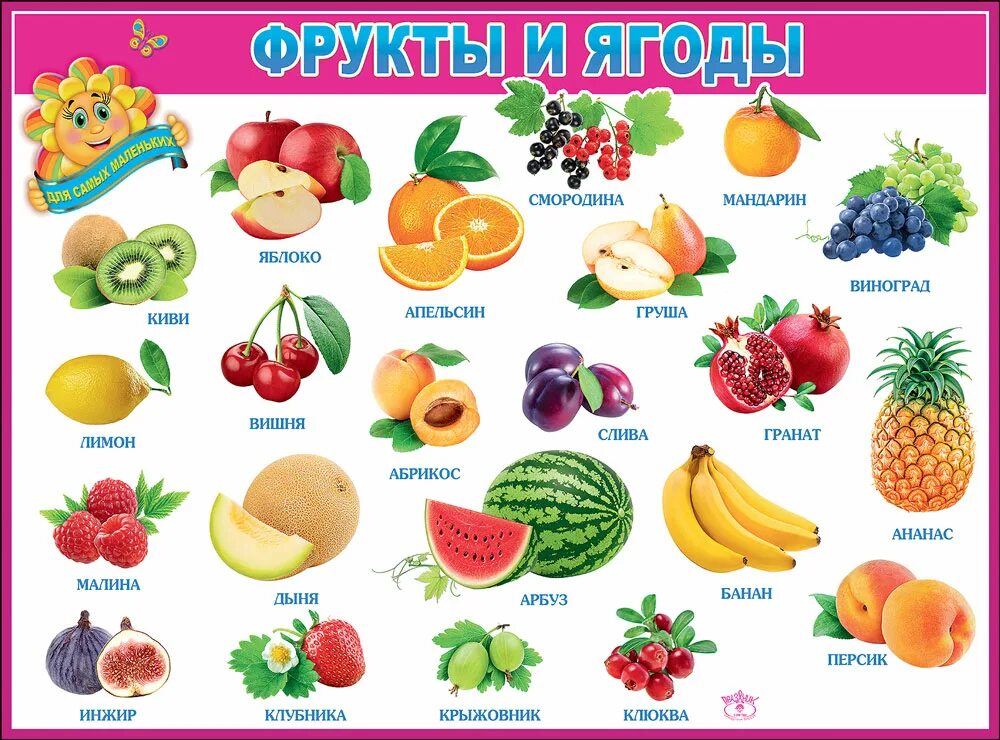 Плакат. Фрукты и ягоды. Плакат овощи и фрукты. Фрукты для детей. Фрукты с названиями для детей. Есть фрукт на н