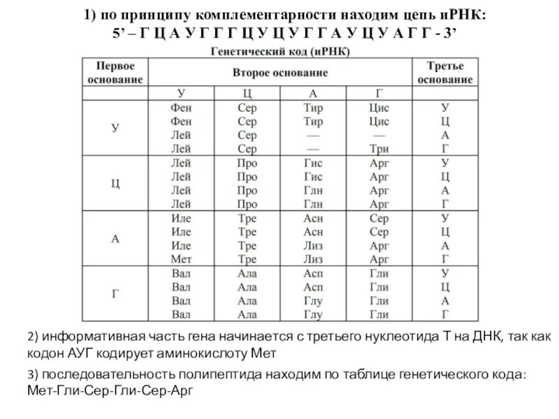 Из днк в ирнк таблица. Комплементарность ДНК И ИРНК. Таблица комплементарности. Принципу комплементарности находим цепь ИРНК. Таблица комплементарности ДНК.