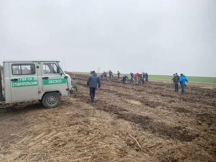 Ставропольское лесничество