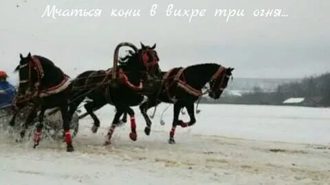 Ехал я перед рождеством погонял коня