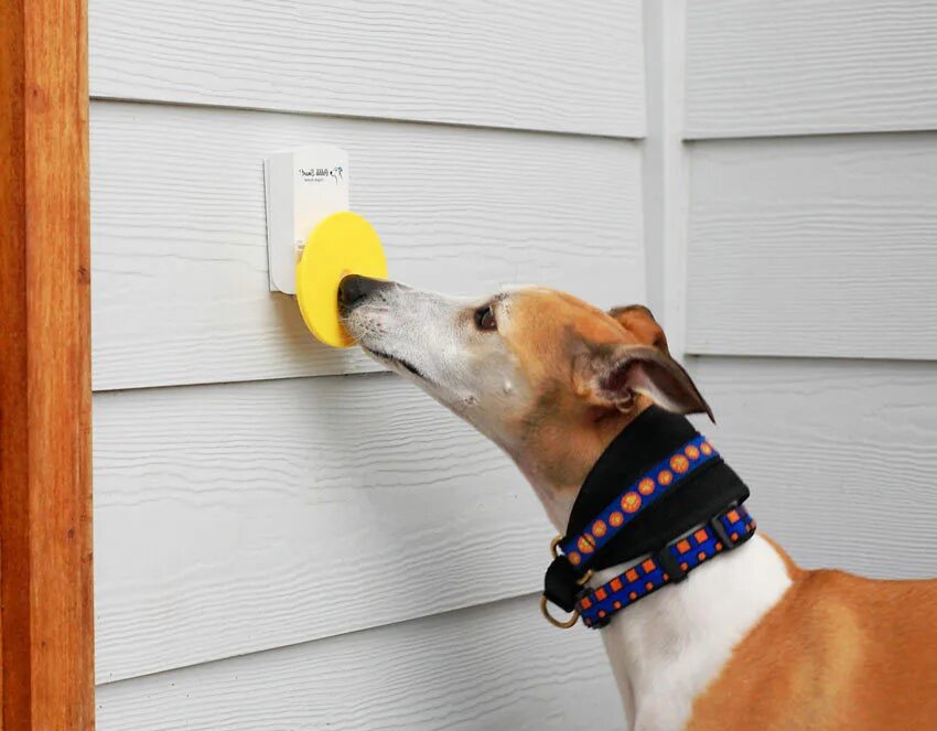 Голосовые кнопки для собак. Нажми на собаку. Педаль для фонтанчика. Собака зубастик игрушка. Поилка для собак с педалью.