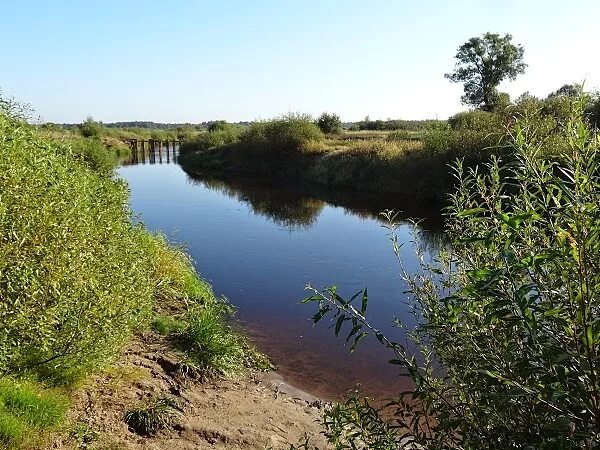 Никольское река. Речка Лух Нижегородская область. Речка в Мугреево Никольское. Река Лух Ивановская область. Рыбалка на реке Лух Нижегородская область Фролищи.