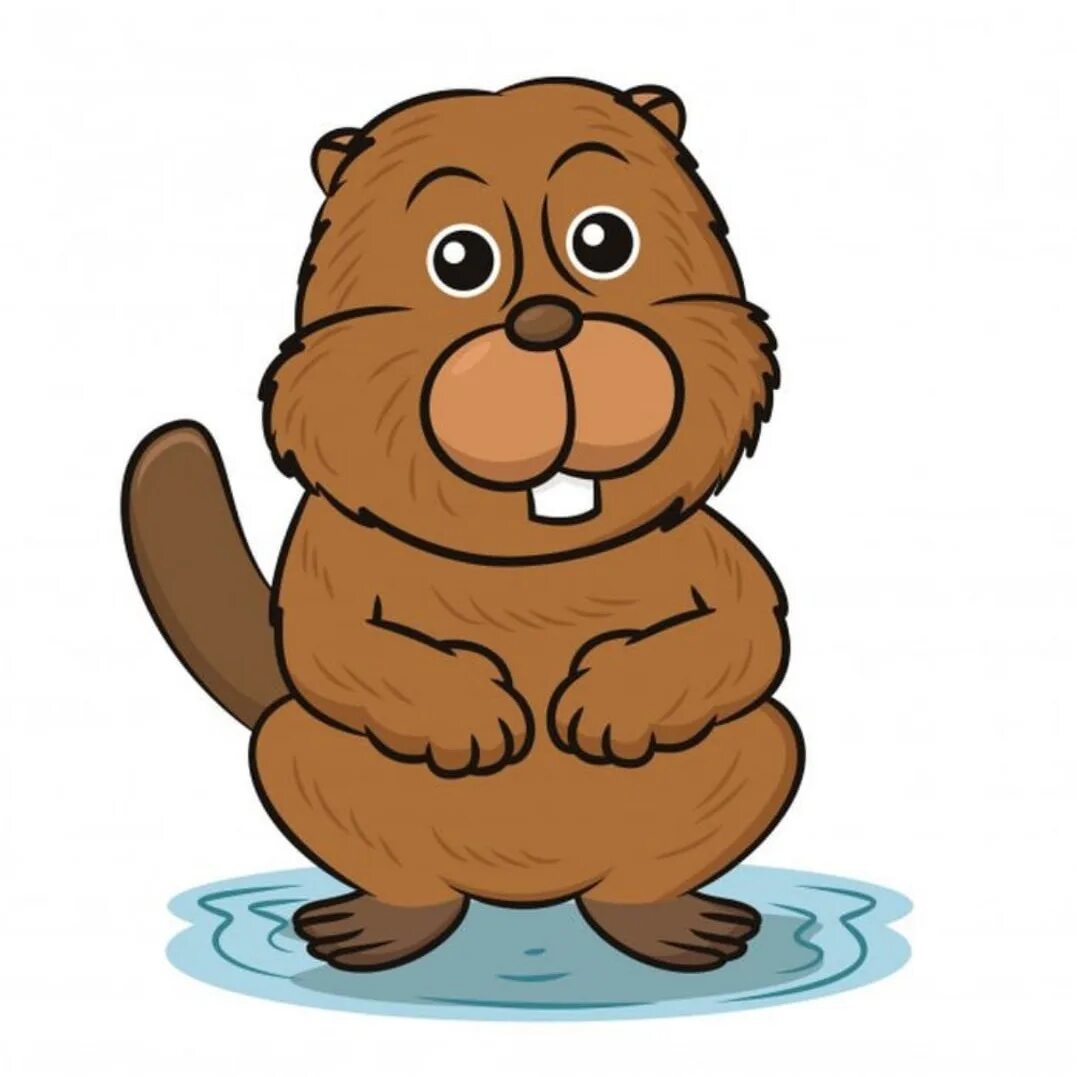 Бобр нарисовать детям. Бобр нарисовать детям. Бобры рисунок детский. Бобр раскраска для детей. Бобр рисунок.