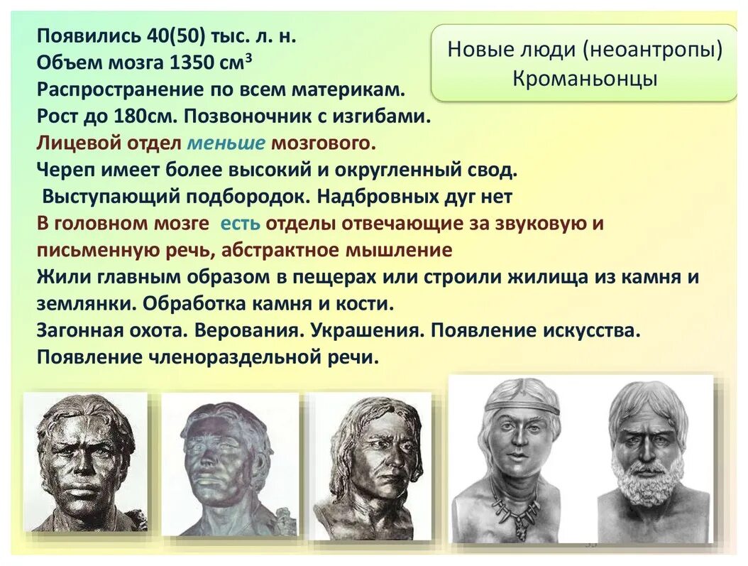 Объем головного мозга наибольшее. Неоантроп объем мозга. Современные люди Неоантропы. Объем головного мозга кроманьонца. Неоантропы кроманьонцы масса мозга.