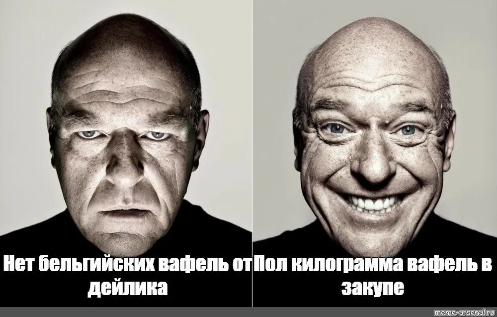 Килограмм вафлей семьюдесятью процентами поезжай в подмосковье. Портрет Мем. Реклама портретов мемы. Дейлик Мем.