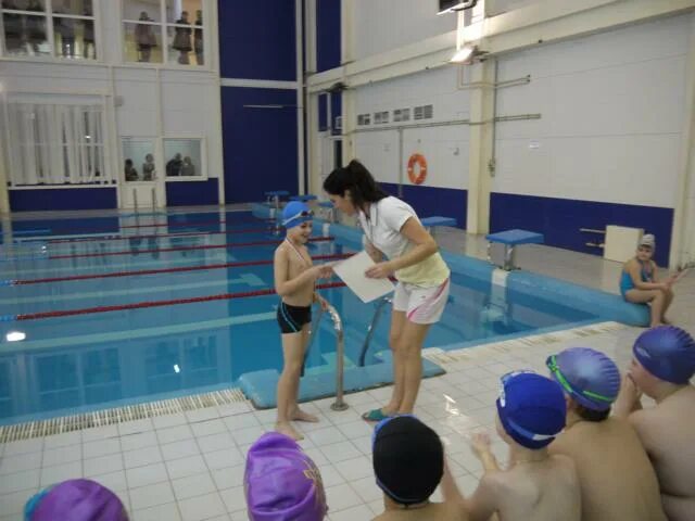 фок г перевоз сайт. фок чайка перевоз официальный сайт. фок перевоз бассейн. перевоз (нижегородская область). фок чайка перевоз официальный сайт.