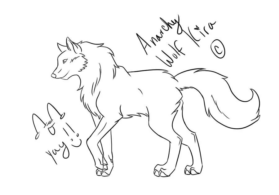 How to wolf
