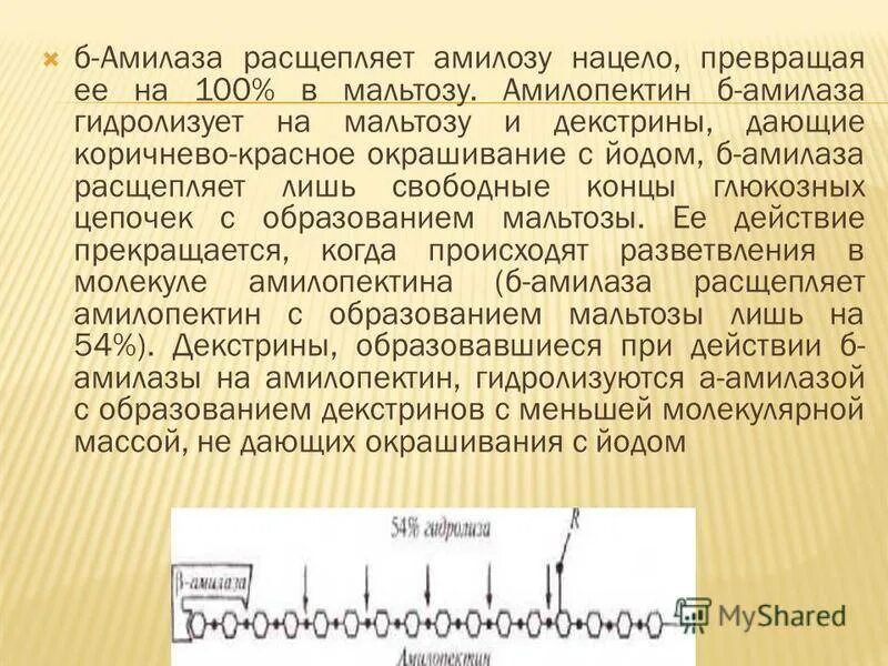 Слюна содержит ферменты которые расщепляют. Химическая структура амилазы слюны. Амилаза строение фермента. Ферментативный процесс амилаза. Строение амилазы слюны.