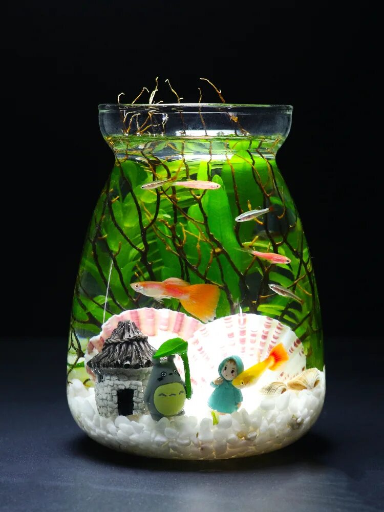 Микро аквариум. Мини аквариум с креветками. Аквариум цилиндр настольный. Мини аквариум в бутылке.