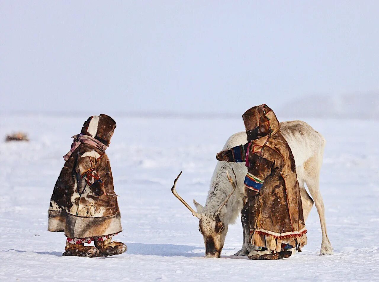 Жизнь на крайнем севере. Ненцы Ханты манси. Тундра ненцы ЯНАО. Ненцы Ямало Ненецкий автономный округ. Ямало-Ненецкий автономный округ дети ненцы.