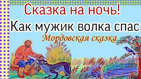 Как волк у мужика жил