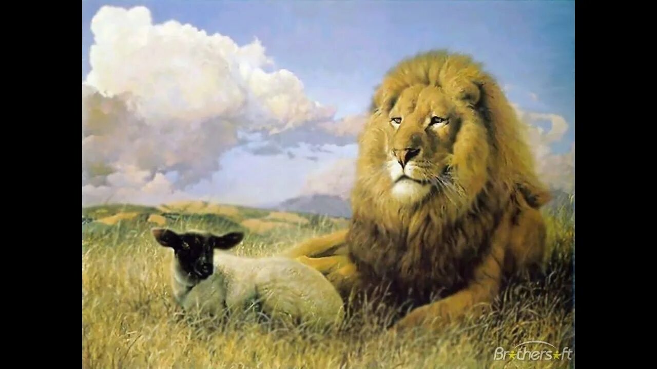 Лев среди овец. Притча про Льва. Чтобы выжить среди Львов ты.