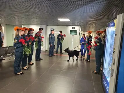 Новости майл сегодня самые свежие