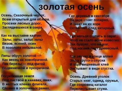 Стих осень на опушке