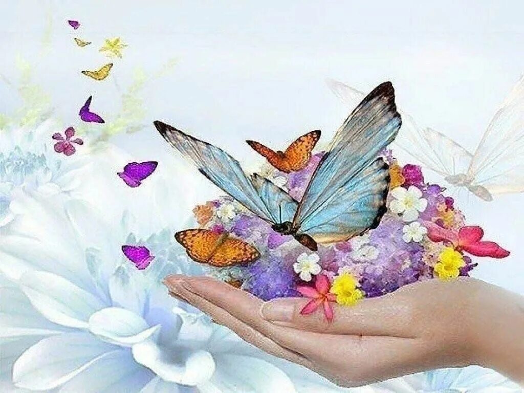 Счастья в твоей душе. Добрые пожелания с бабочками. Бабочки с пожеланиями. Бабочка добра. Доброе утро бабочки.
