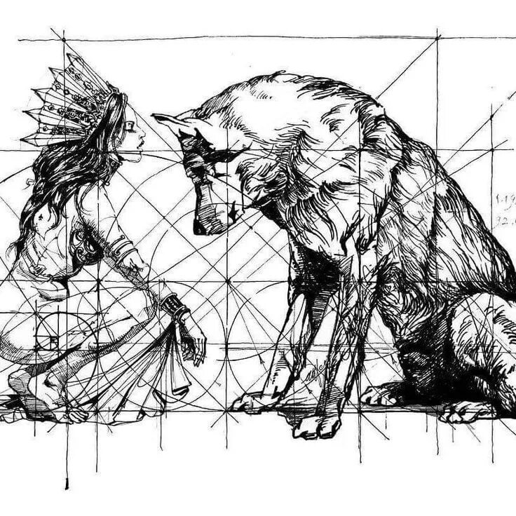Волк рисунок тушью. Волк тушью. Туша волка. Волк тушью. Волки в стае поведение.