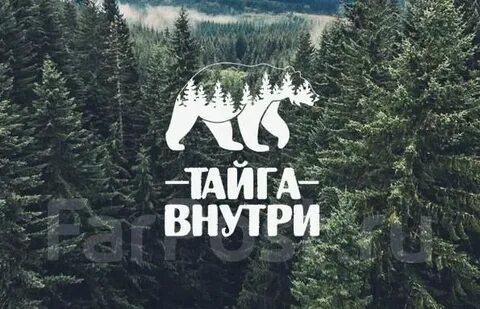 Тайга внутри