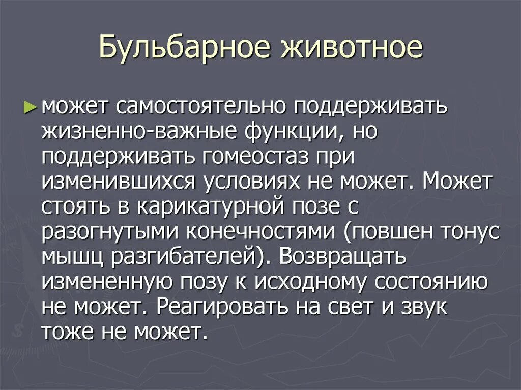 Поддержание жизненной функции. Бульбарное животное. Бульбарное животное мышечный тонус. Особенности поведения бульбарного животного. Бульбарное животное физиология.