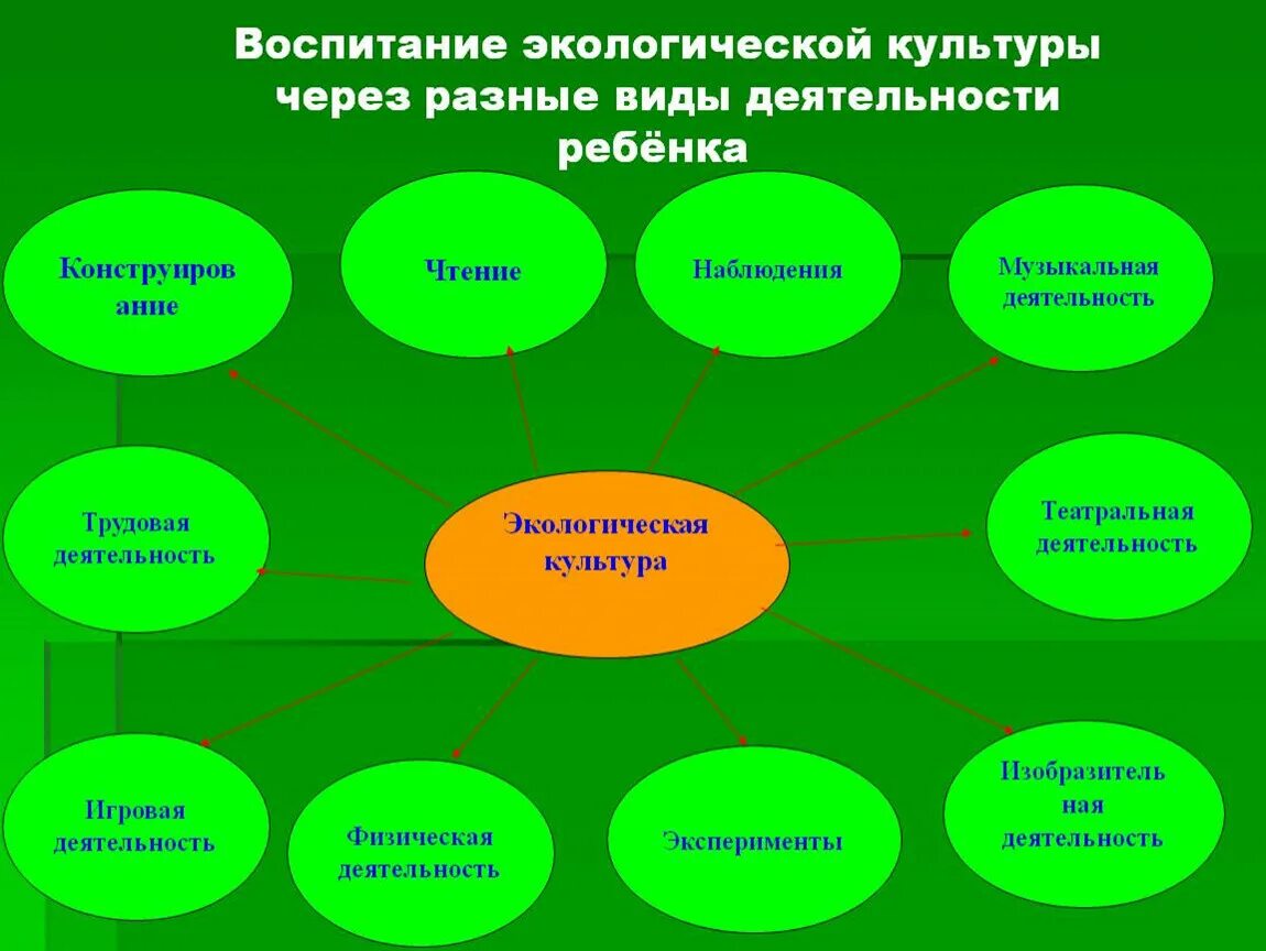 Экология на практике. Экологическое воспитание. Экологические вопитание. Формы экологического воспитания детей. Формы экологического воспитания дошкольников.