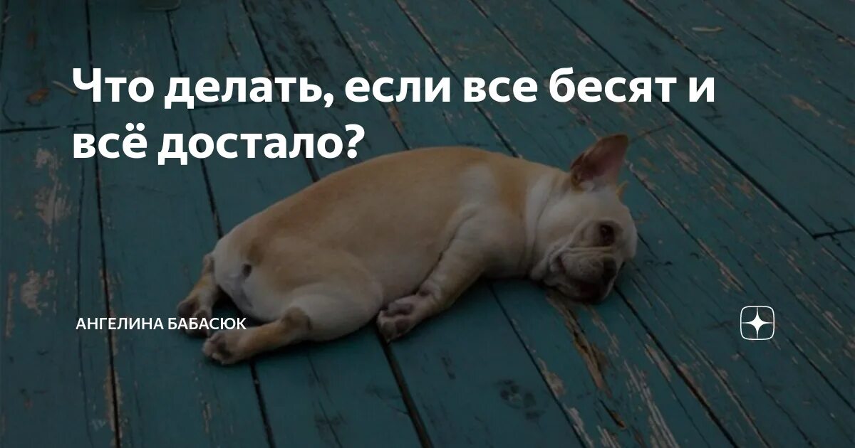 Что делать если очень сильно бесит. Что делать если очень сильно бесит