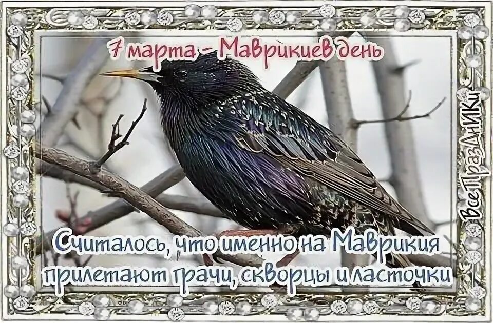 Когда по народному календарю отмечают встречу весны. Народный праздник маврикиев день. по народному календарю - маврикиев день.