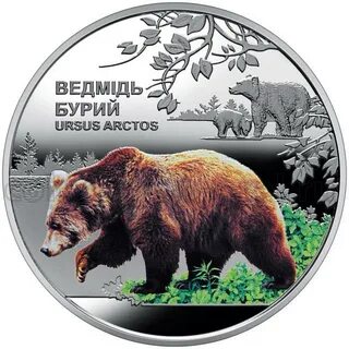 Медведь 2022 г