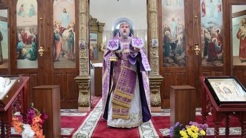 Автобус шаховская ивашково на сегодня