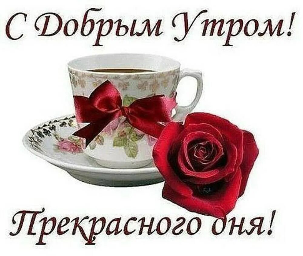Доброе утро прекрасного дня девушке. Красивые поздравления с добрым утром. с добрым утром родная. стикер с добрым утром дорогой. пожелания с добрым утром родная.