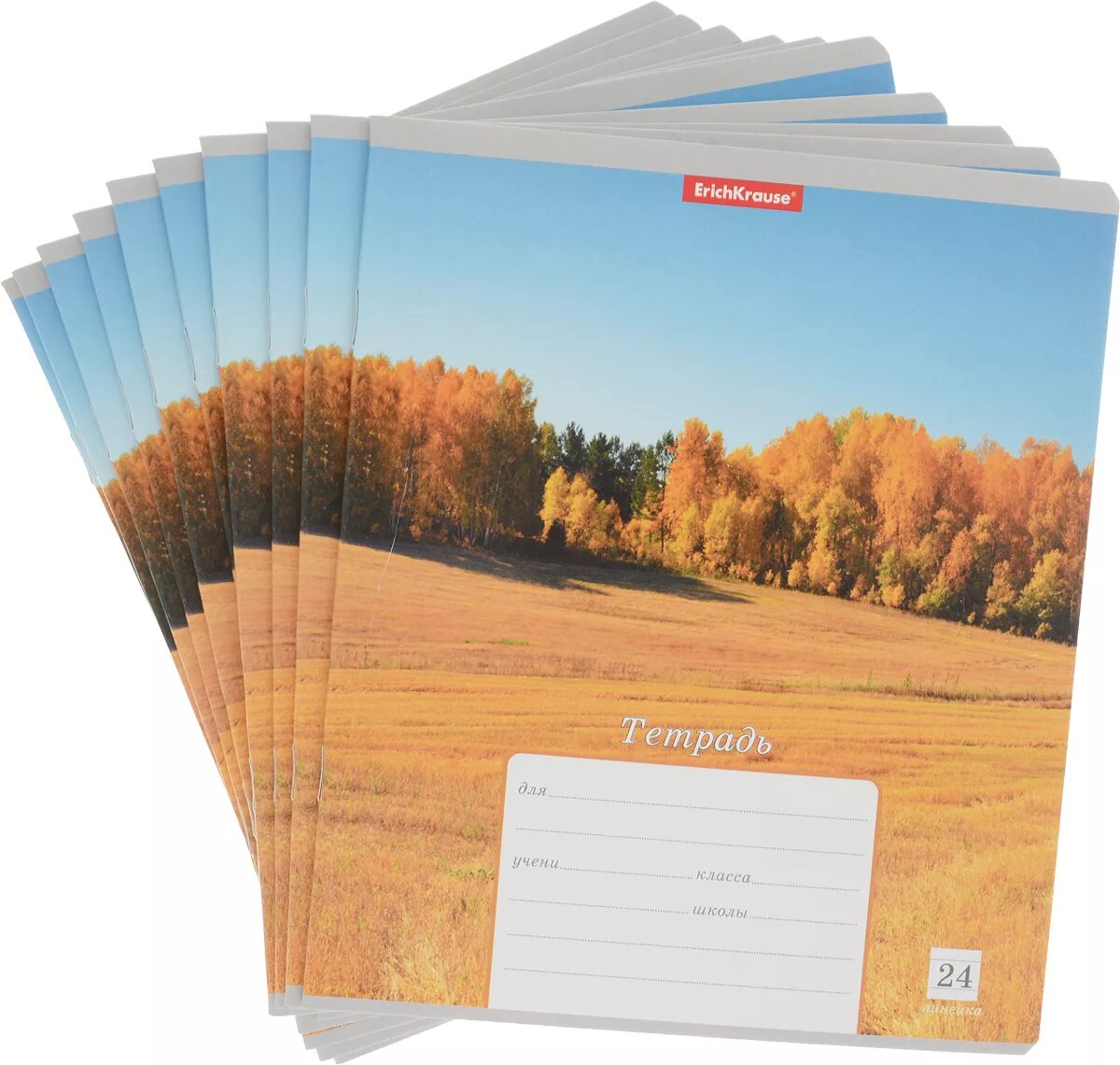 Тетрадь 10 листов. Тетрадь в линейку 48 листов. Тетрадь в полоску. Школьная тетрадка картинка. Тетрадь 10 листов.