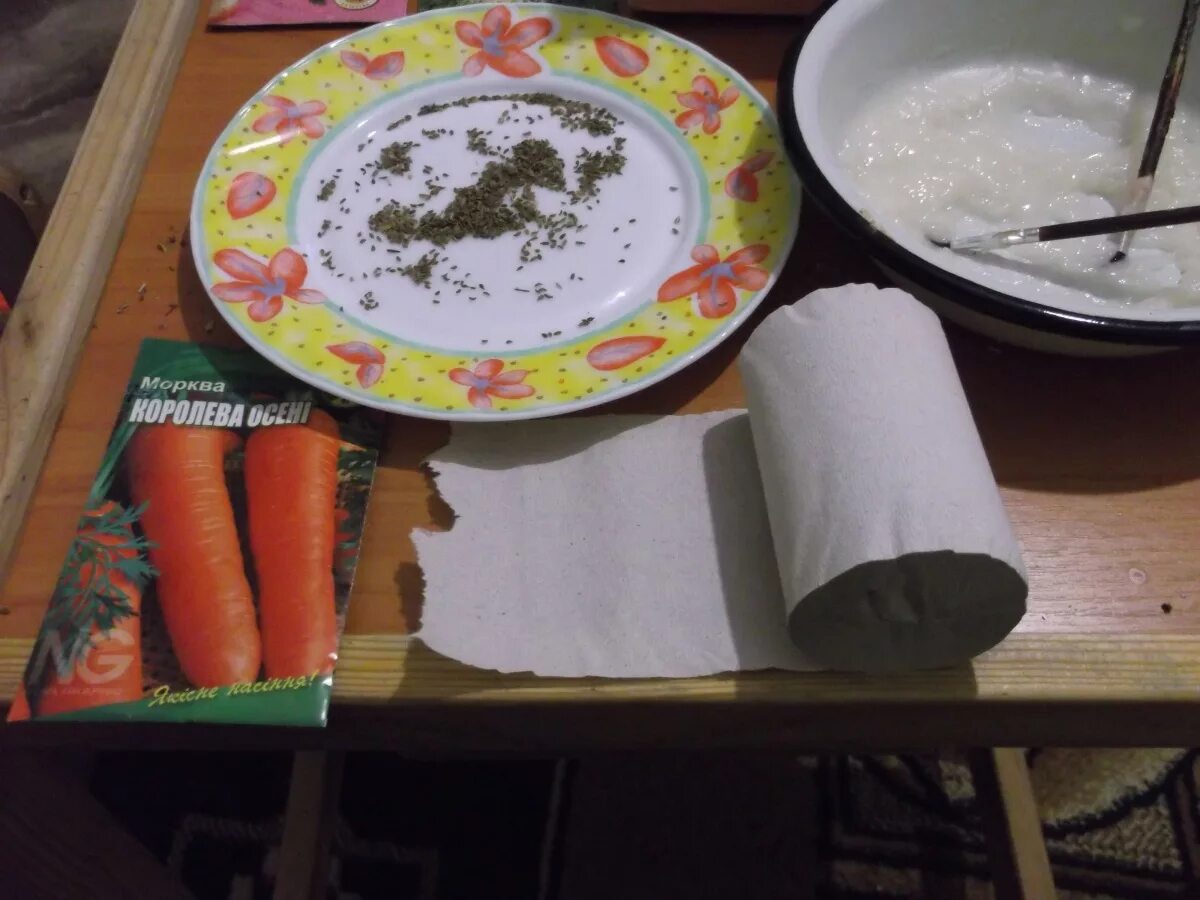 Посев моркови на туалетную бумагу. Семена на туалетной бумаге. Семена морковки на туалетной бумаге. Наклеивание семян моркови на туалетную бумагу. Как клеить морковь на туалетную бумагу
