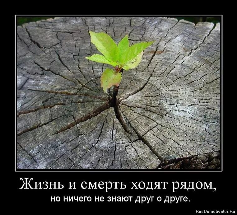Перемены в лучшую сторону. Своя жизнь и ходит он. Своя жизнь и ходит он. Девушка убегает. Своя жизнь и ходит он.