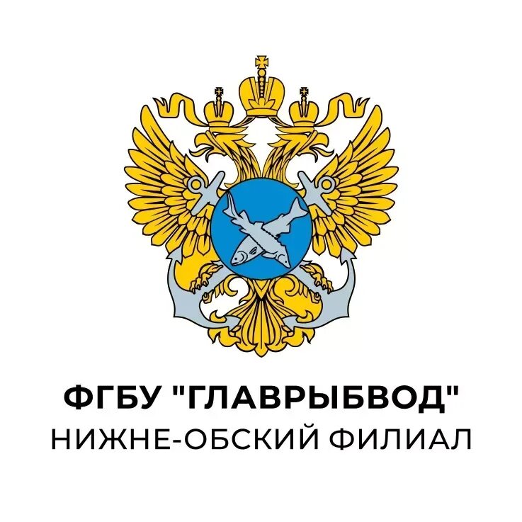 Главрыбвод обской. Зеленоборский рыборазводный завод фгбу главрыбвод. Организация. Главрыбвод обской. Центральный филиал фгбу главрыбвод.