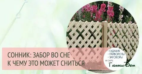 Сонник забор
