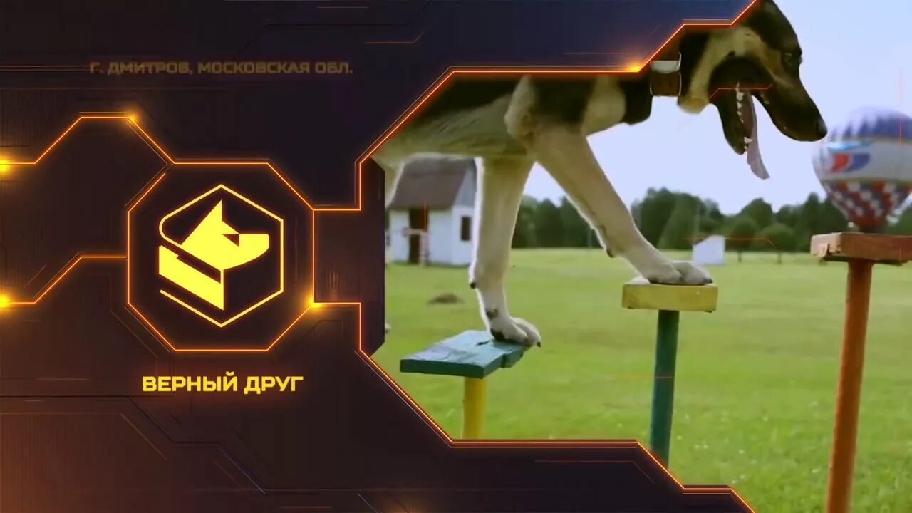 Верный друг центр