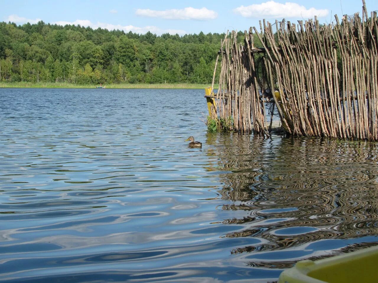 5 Озер в Муромцево Омская область. Озеро Линево Омская область. Пять озёр Омская область Линево. Муромцево озеро Линево.