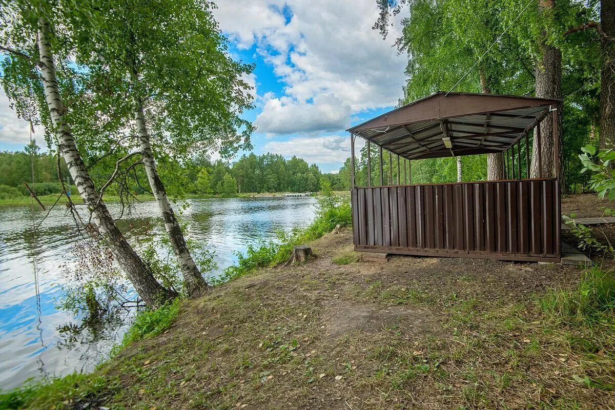 Поселок зеленый городок пушкинский. Костино зеленый городок. Зеленый городок пляж Скалба. Зеленый городок Пушкино. Центр отдыха зеленый городок.