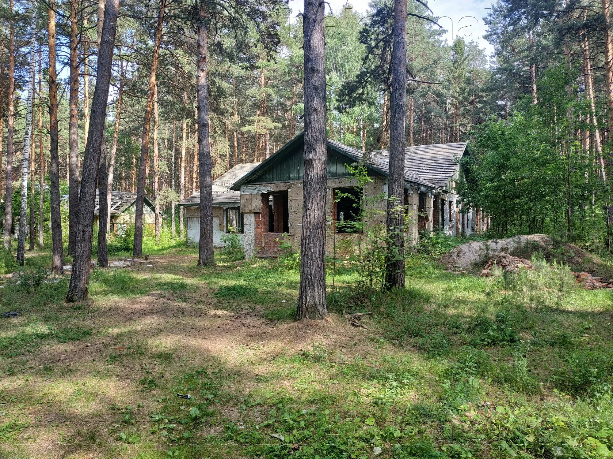 Каштакский бор. Каштакский Бор Соколиная гора. Лесопарк Каштакский Бор. Каштакский Бор Челябинск. Соколиная гора Каштак.