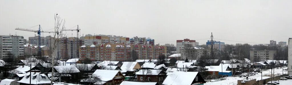 пинега лес болото мочажина. болото ижевск. красковское болото валдай. серпухов район болото. ижевское болото.