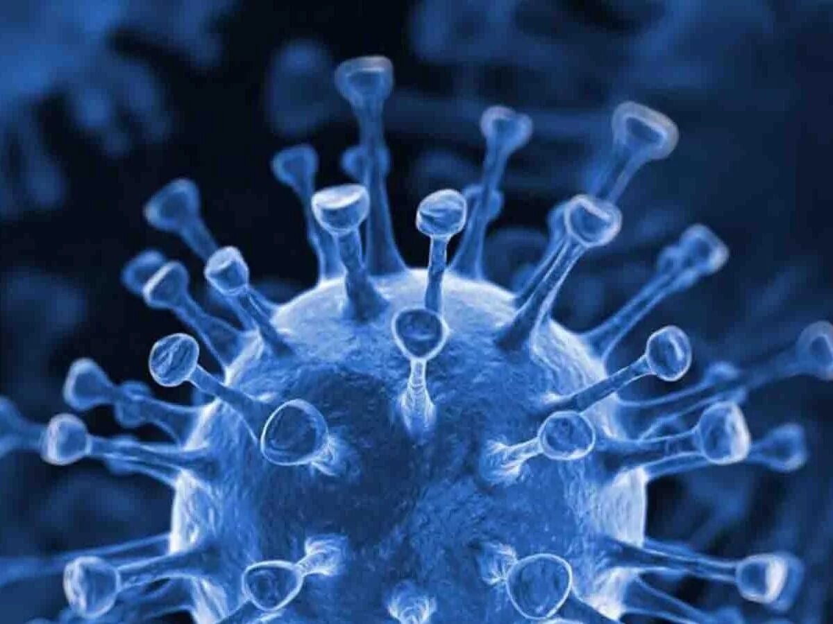 Коронавирус. Корогавир. Красивый коронавирус. Коронавирус фото. Две волны коронавируса