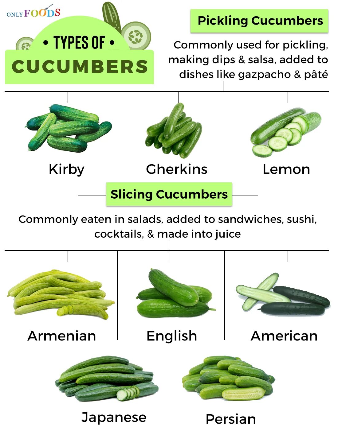 Огурец перевод. Что такое cucumber на английском. Огурец растение. Польские огурцы семена. Шипы на огурцах черные и белые.