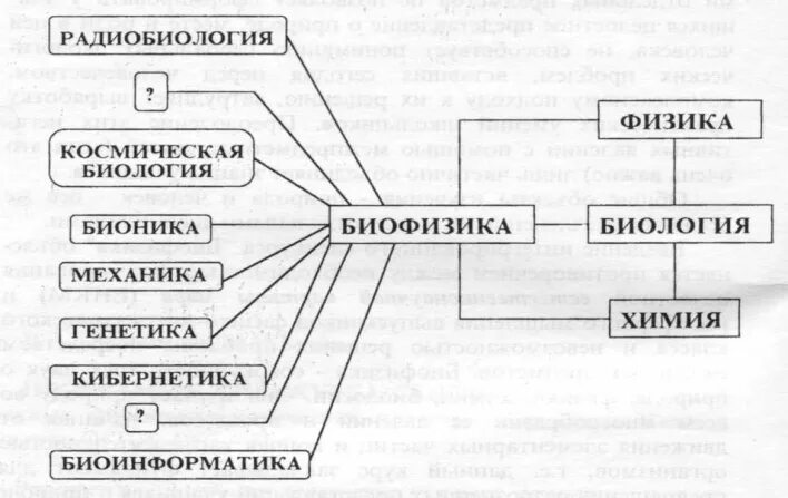 Связь биофизики с другими науками. Радиобиология картинки. Что изучает биофизика. Биофизика на уроках физики. Связь биологии с другими