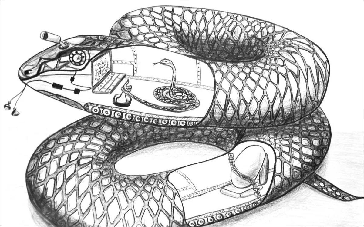 Строение питона. Рисунок змеи. Змея Бионика. Змея строение. Змея в разрезе.