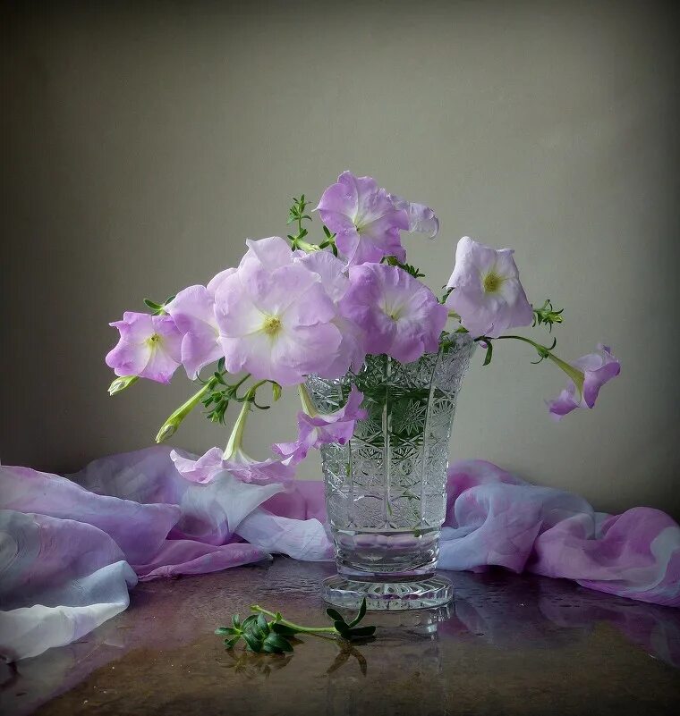 романтические открытки для девушки. чудесного вечера. цветы на ночном окне. нежного вечера. доброго ежиного вечера.