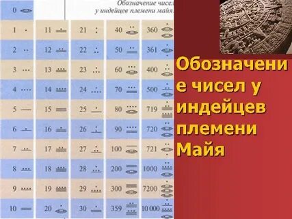 Племя единственное число