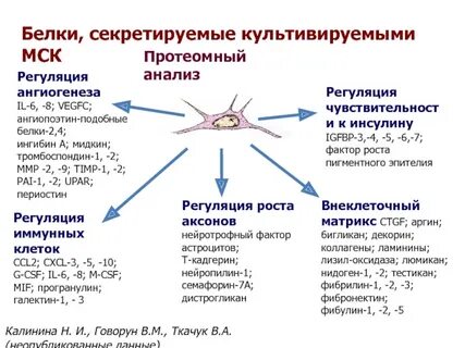 Ингибиторы ангиогенеза