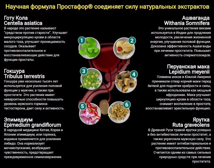 Что едят при простатите. Лекарство от простатита ярутка. Простатит народные средства. Простатит народная медицина. Перуанская мака при простатите.