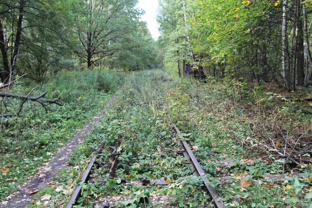 Мыза Раево. Лесная стрелка. Лесное железо. Лес стрелка нижестарицкая». Лесной стрелок 5