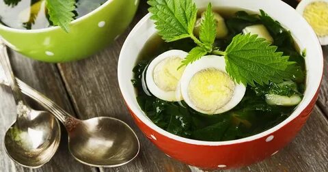 Крапива вкусная