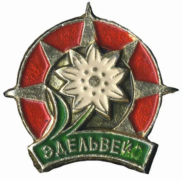 Эдельвейс знак горных Стрелков. Эдельвейс Вермахт значок. Знак горнострелковой дивизии Эдельвейс. Эдельвейс эмблема горных Стрелков. Оповещение эдельвейс