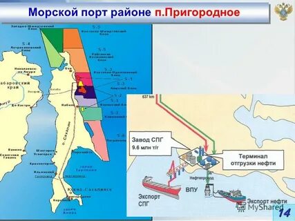 День порта владивосток
